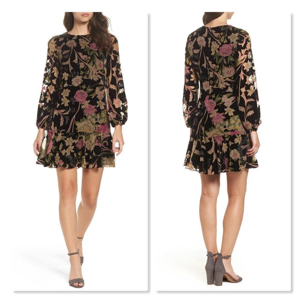 Eliza J Floral Print Velvet Shift Dress size 6 In Black